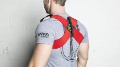 Budget π― Donnie Thompson Formal Bowtie β€οΈ